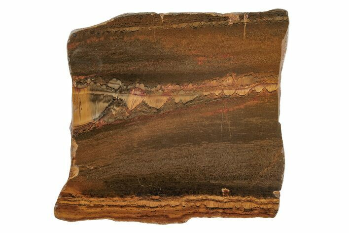 Polished Packsaddle Tiger Eye Slab - Western Australia #216750